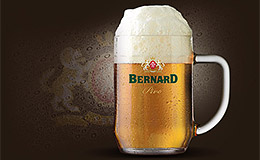 Den Bernarda